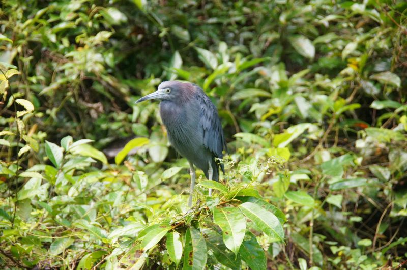 Viewing photos→2016→2016-12-16→071