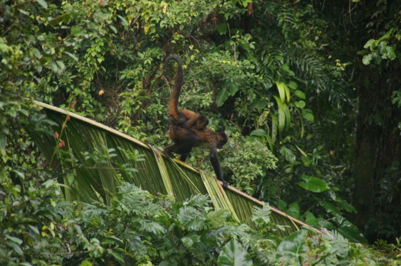 Viewing photos→2016→2016-12-16→078