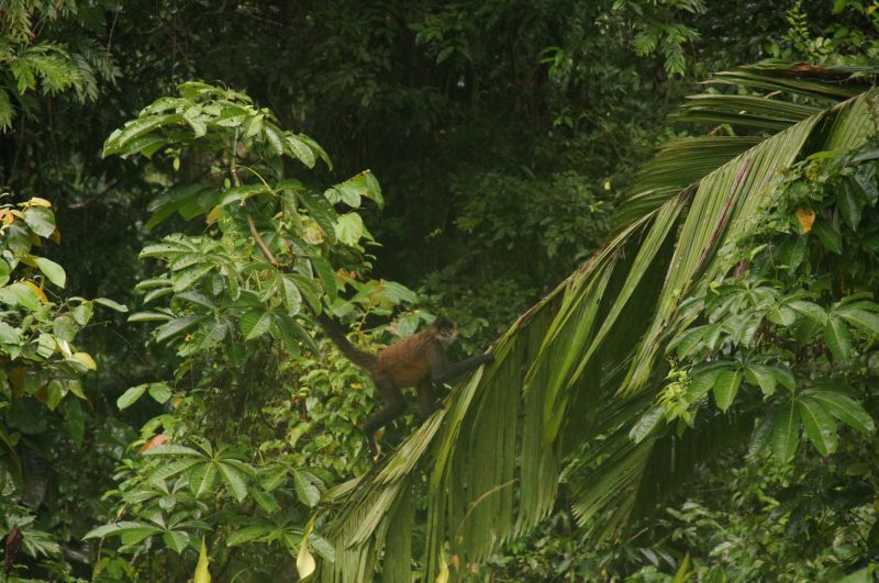 Viewing photos→2016→2016-12-16→084