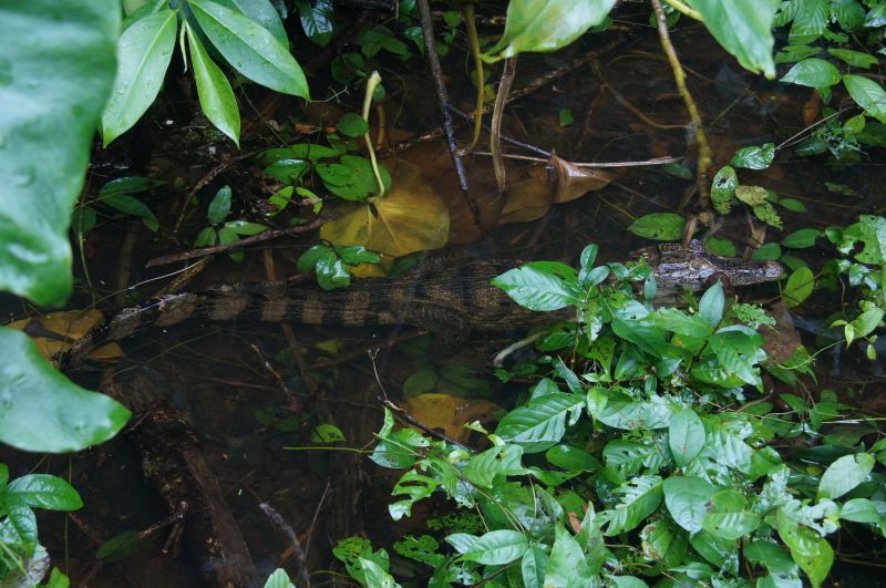 Viewing photos→2016→2016-12-16→089