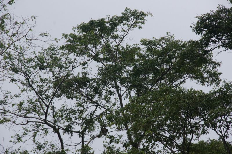 Viewing photos→2016→2016-12-16→091