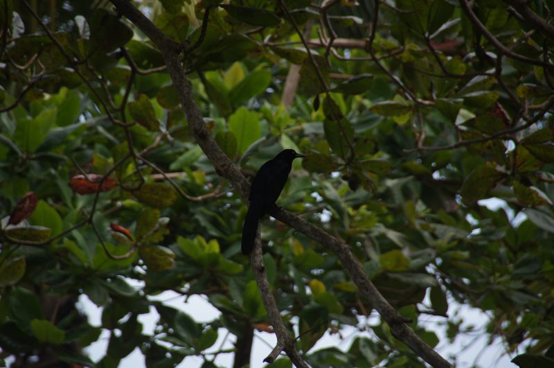 Viewing photos→2016→2016-12-16→102