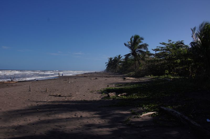 Viewing photos→2016→2016-12-16→109