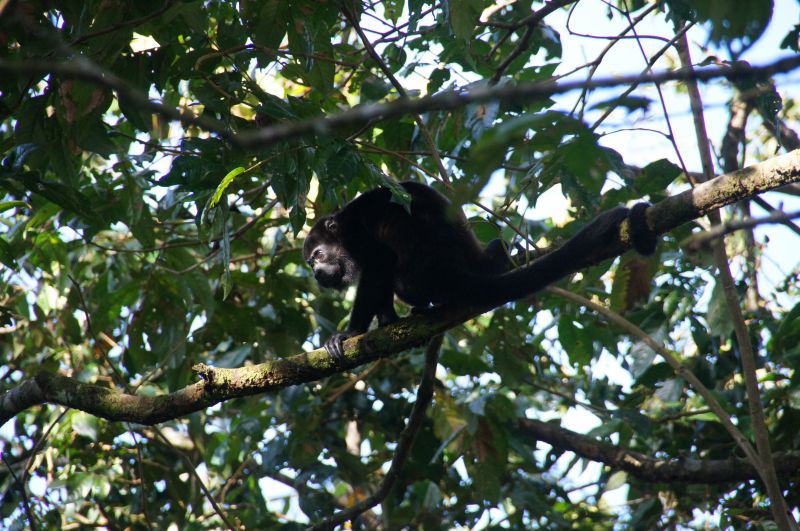 Viewing photos→2016→2016-12-16→111