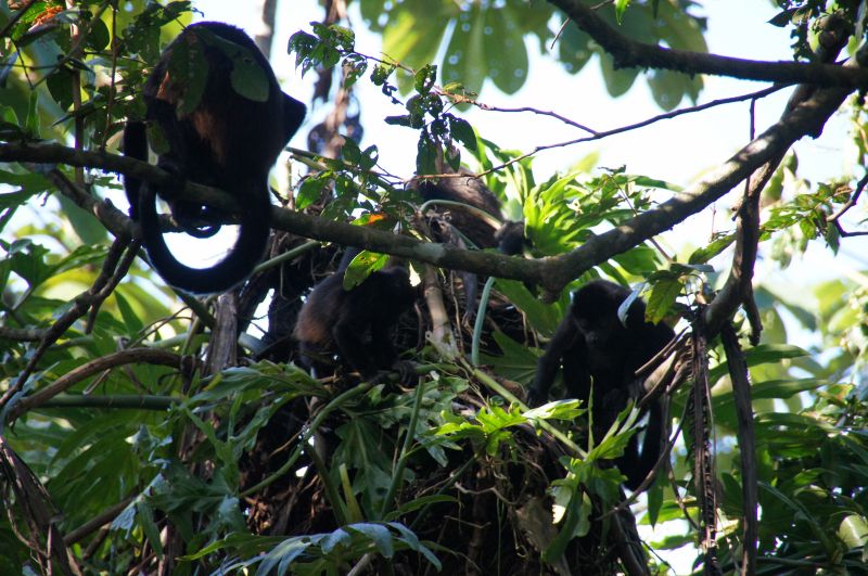 Viewing photos→2016→2016-12-16→114