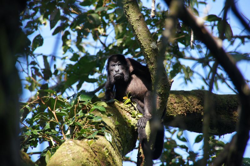 Viewing photos→2016→2016-12-16→116