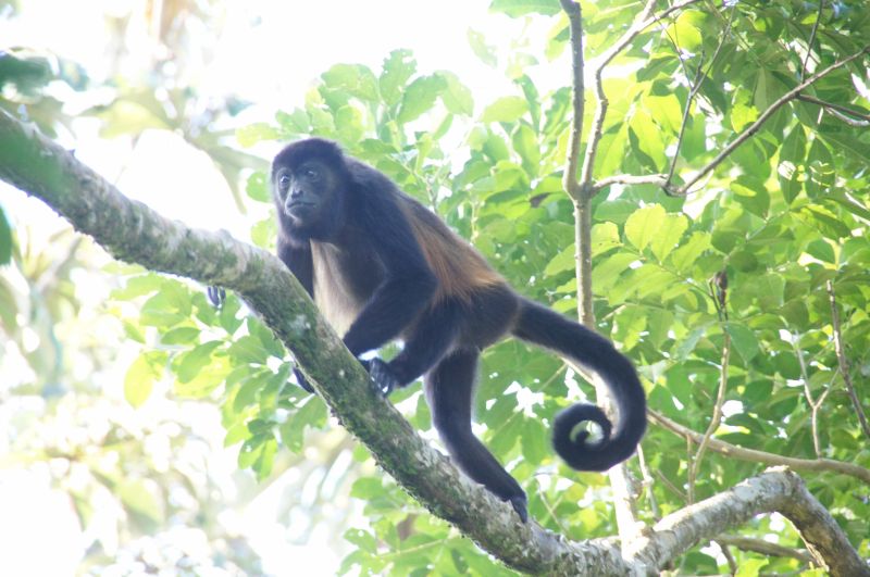 Viewing photos→2016→2016-12-16→120