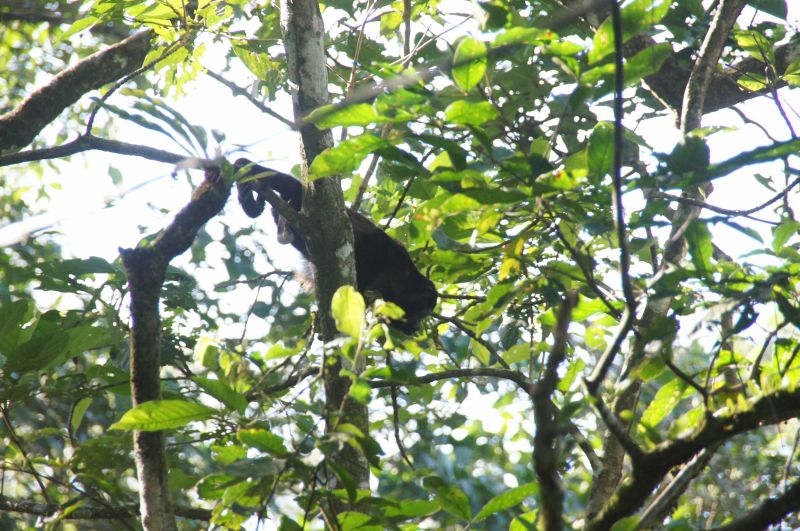 Viewing photos→2016→2016-12-16→121