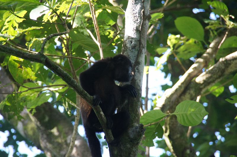 Viewing photos→2016→2016-12-16→124