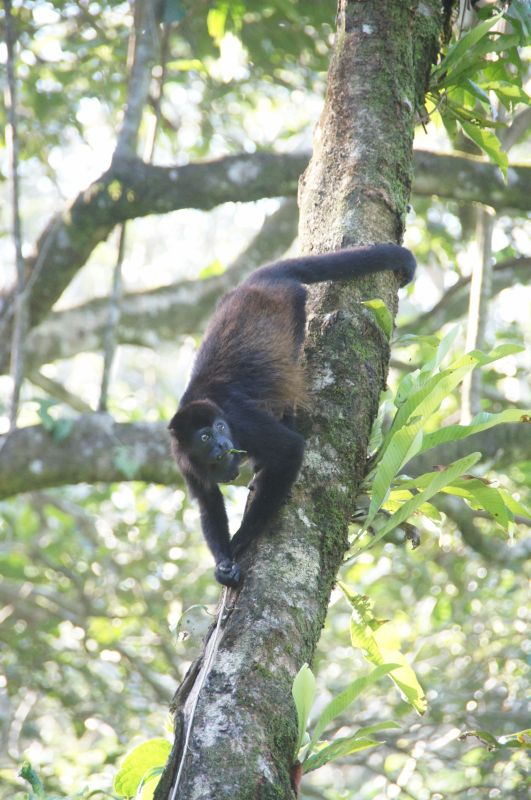 Viewing photos→2016→2016-12-16→125