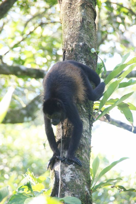 Viewing photos→2016→2016-12-16→126