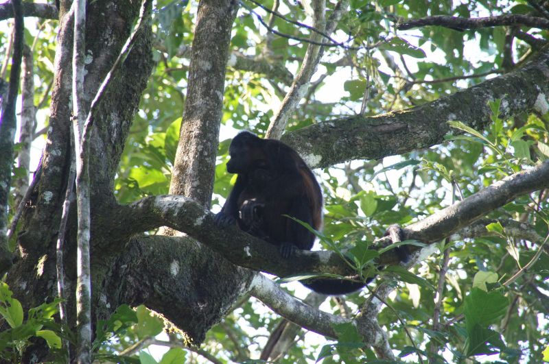 Viewing photos→2016→2016-12-16→128