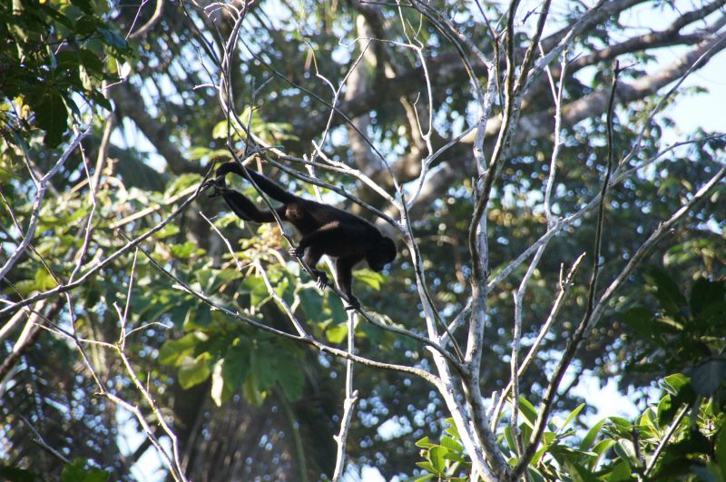 Viewing photos→2016→2016-12-16→129