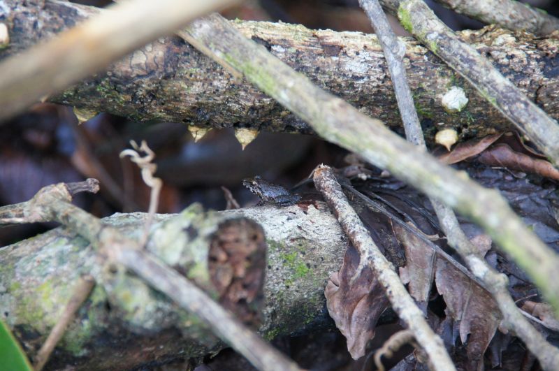 Viewing photos→2016→2016-12-16→134