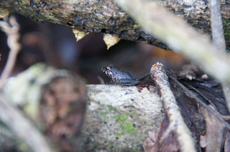 Viewing photos→2016→2016-12-16→135