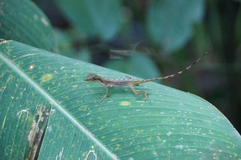 Viewing photos→2016→2016-12-16→136