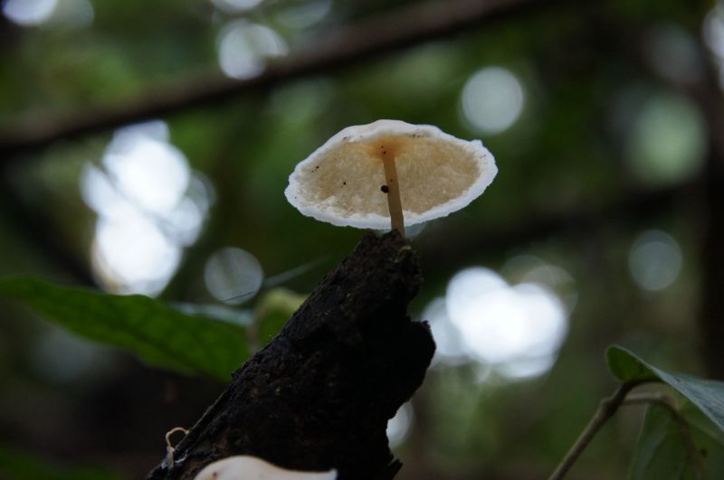 Viewing photos→2016→2016-12-16→140