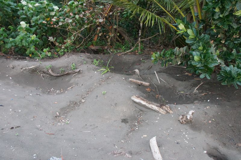 Viewing photos→2016→2016-12-16→144