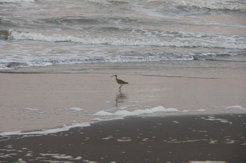 Viewing photos→2016→2016-12-16→146