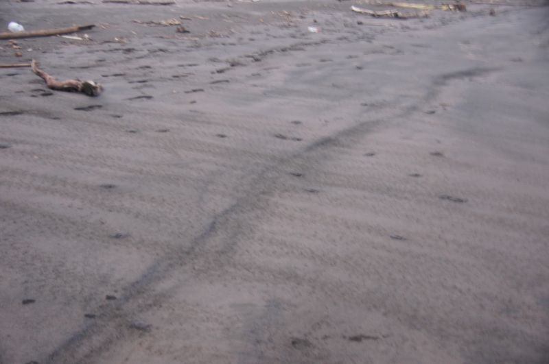 Viewing photos→2016→2016-12-16→151