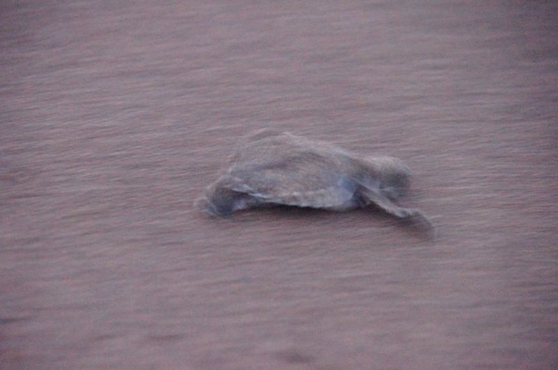 Viewing photos→2016→2016-12-16→153