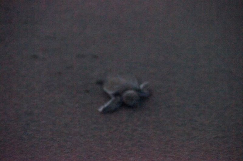 Viewing photos→2016→2016-12-16→155