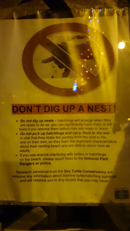 Viewing photos→2016→2016-12-16→159