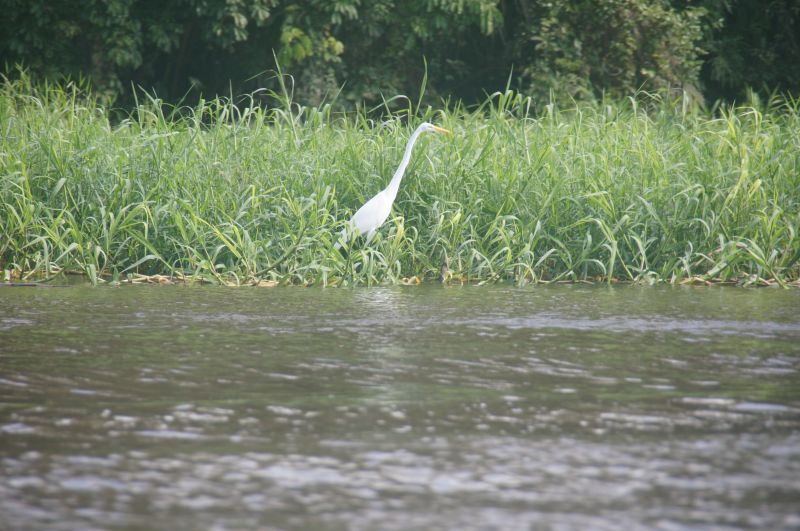 Viewing photos→2016→2016-12-16→165