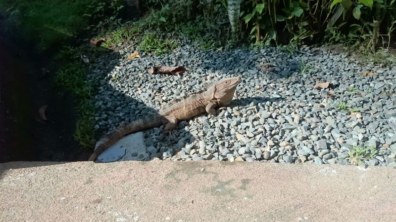 Viewing photos→2016→2016-12-19→01