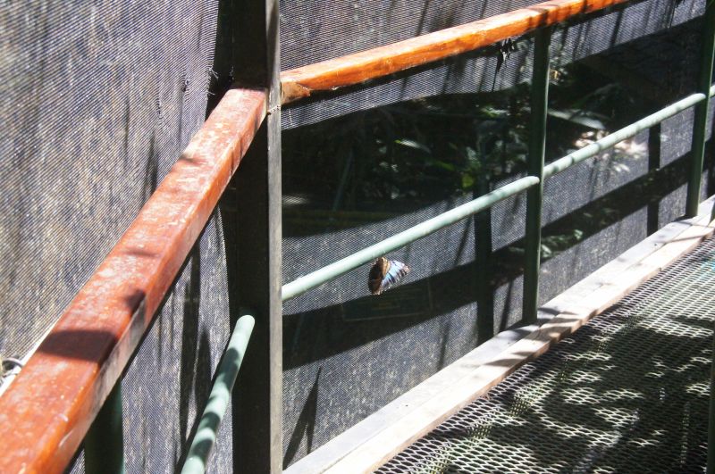 Viewing photos→2016→2016-12-19→04