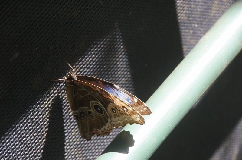 Viewing photos→2016→2016-12-19→08