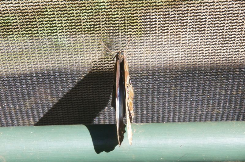 Viewing photos→2016→2016-12-19→09