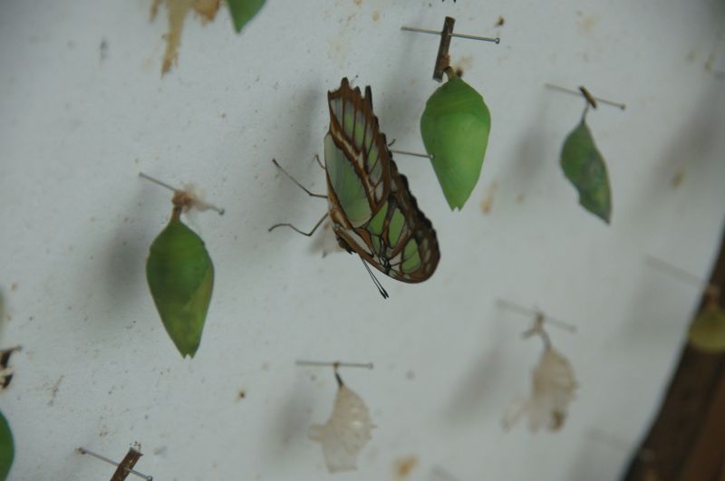 Viewing photos→2016→2016-12-19→10