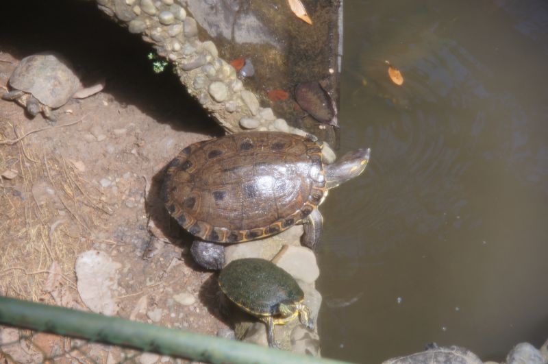 Viewing photos→2016→2016-12-19→15