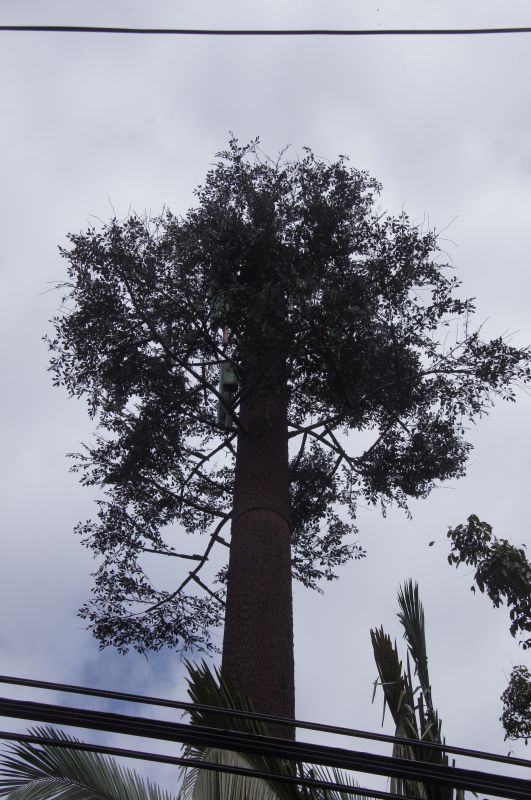 Viewing photos→2016→2016-12-19→19