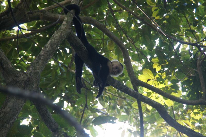 Viewing photos→2016→2016-12-19→27