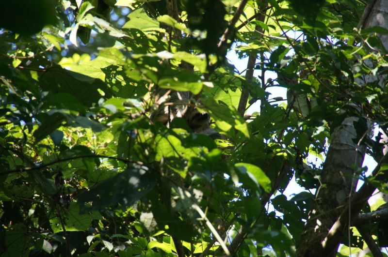 Viewing photos→2016→2016-12-19→44