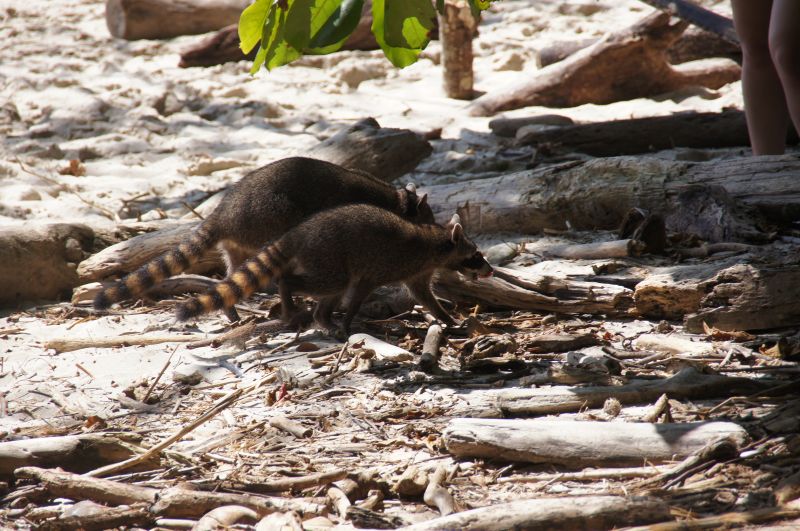 Viewing photos→2016→2016-12-19→48