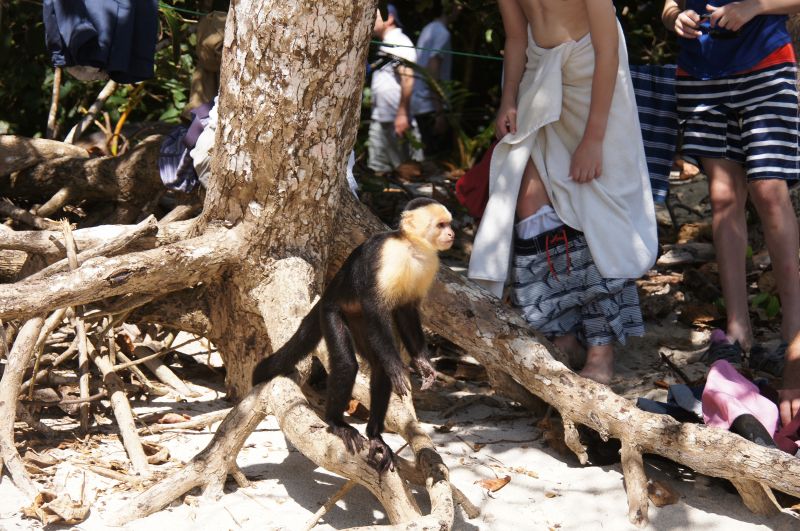 Viewing photos→2016→2016-12-19→54