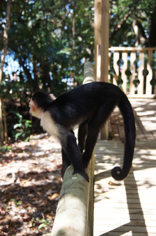 Viewing photos→2016→2016-12-19→65