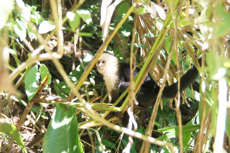 Viewing photos→2016→2016-12-19→73