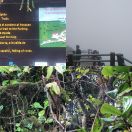 2016-12-21<br/>
<b>Volcán Poás, Costa Rica</b>
