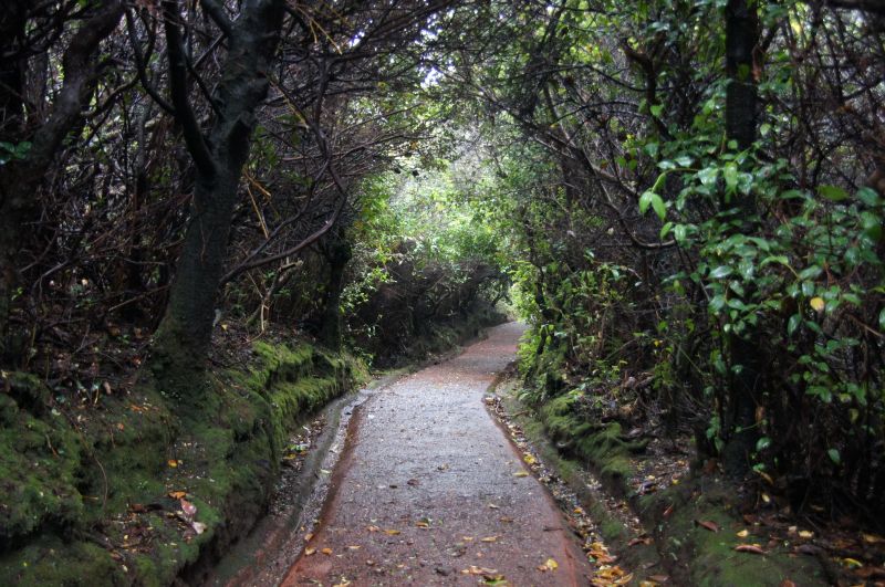 Viewing photos→2016→2016-12-21→04