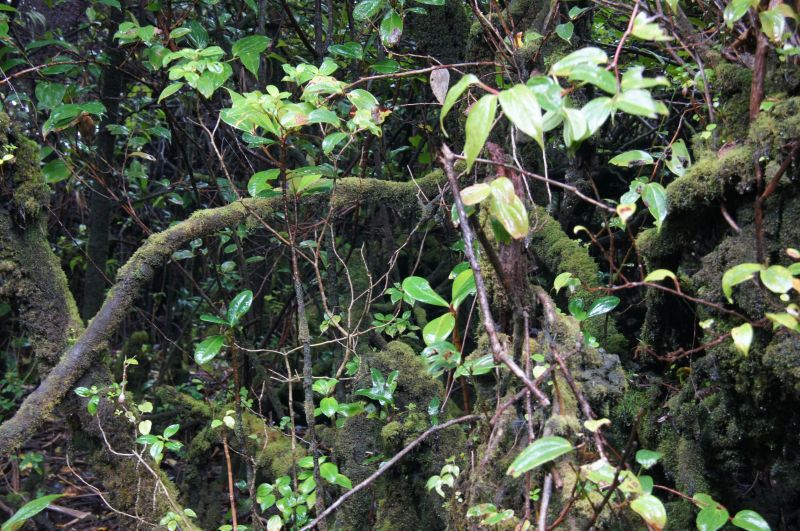 Viewing photos→2016→2016-12-21→05