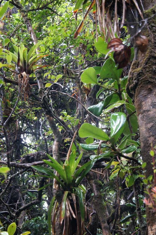 Viewing photos→2016→2016-12-21→07