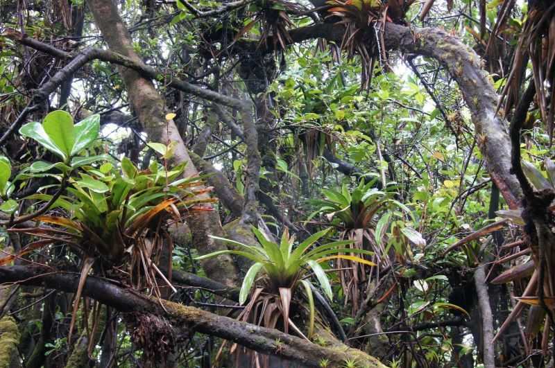 Viewing photos→2016→2016-12-21→08