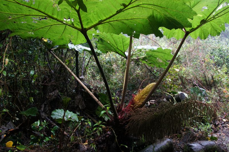 Viewing photos→2016→2016-12-21→11