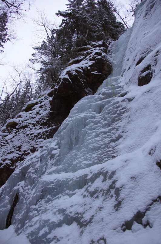 Viewing photos→2017→2017-02-11→03