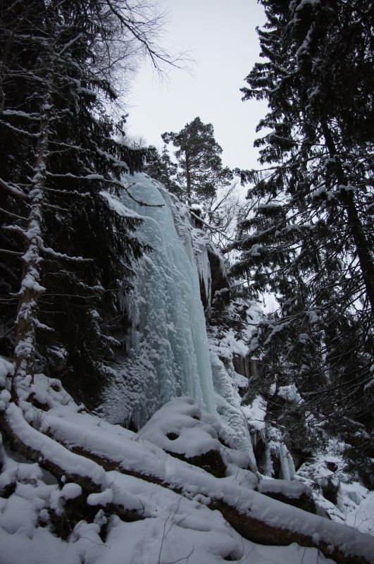 Viewing photos→2017→2017-02-11→04