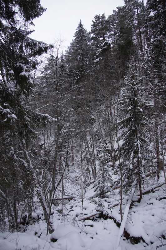 Viewing photos→2017→2017-02-11→05